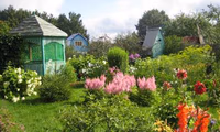 Можно ли перевести дачный участок в ИЖС?