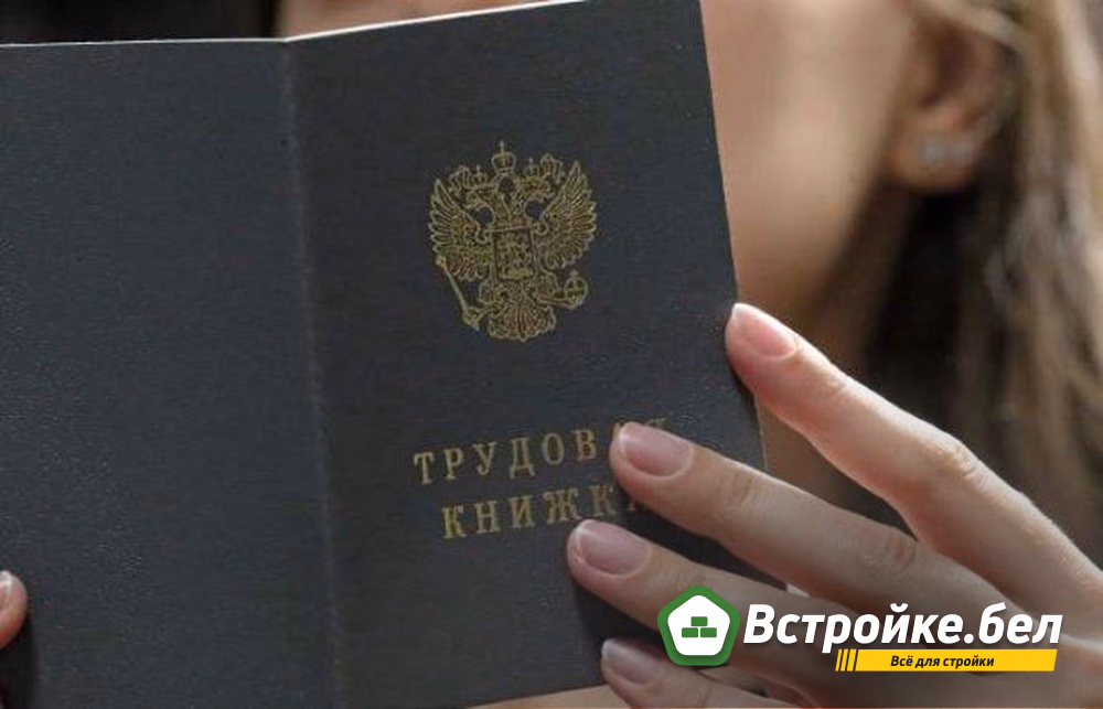 Роструд в 2025 году начнет формировать реестр работодателей с нелегальной  занятостью