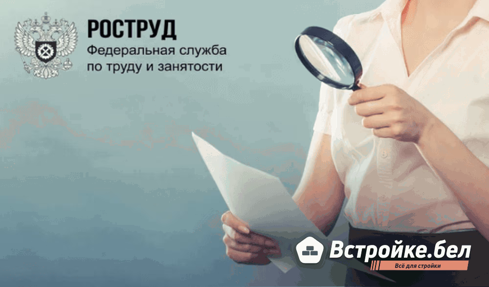 Роструд усиливает проверки компаний: что изменится с 16 ноября