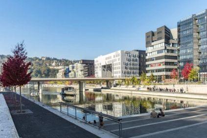 Quartier Confluence à Lyon : présentation, visite