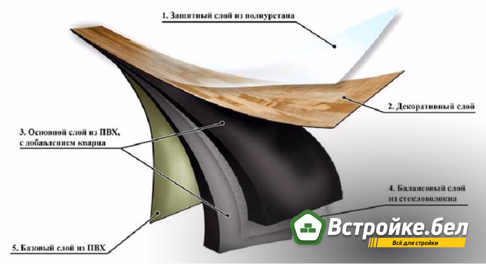 2. Строение.jpg