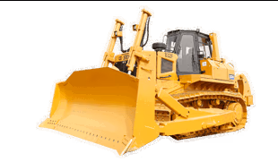 D11