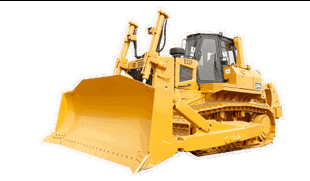 D11