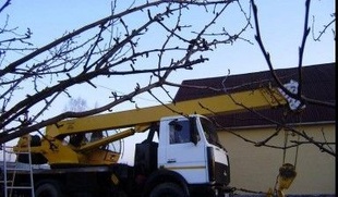 автокрана