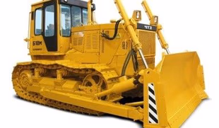 D6