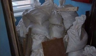 Газель