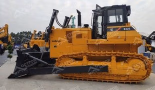 D 65