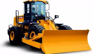 D65