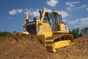 D61