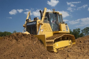 D61