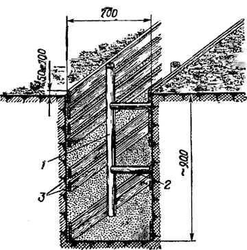 6.gif