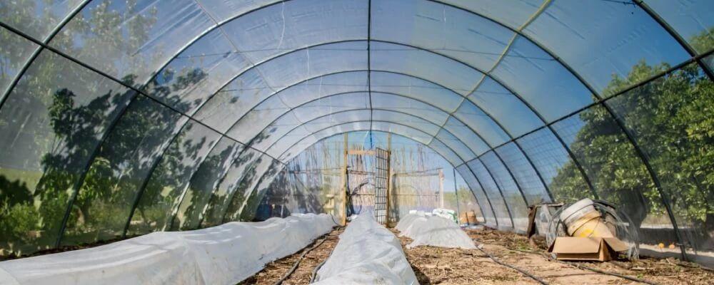 Теплица из сетки