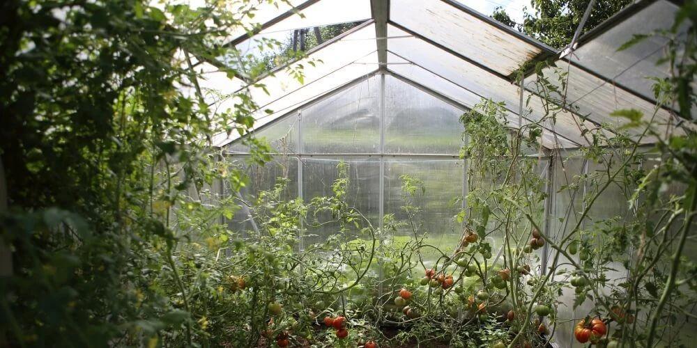 Полипропиленовая теплица