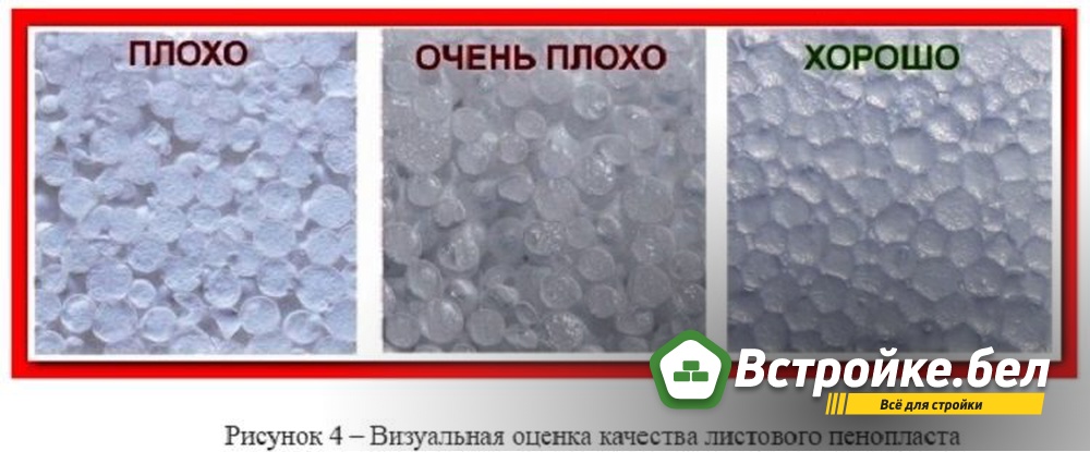 5.jpg?lang=ru