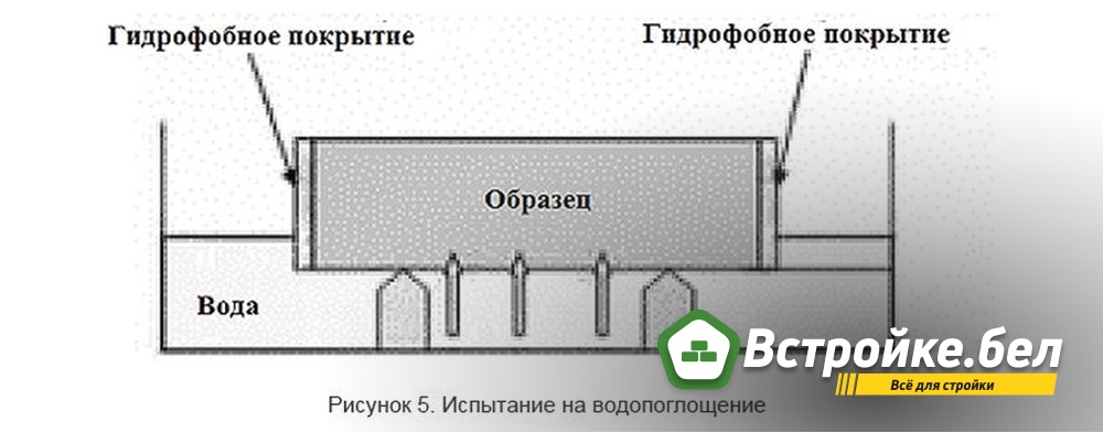 6.jpg?lang=ru