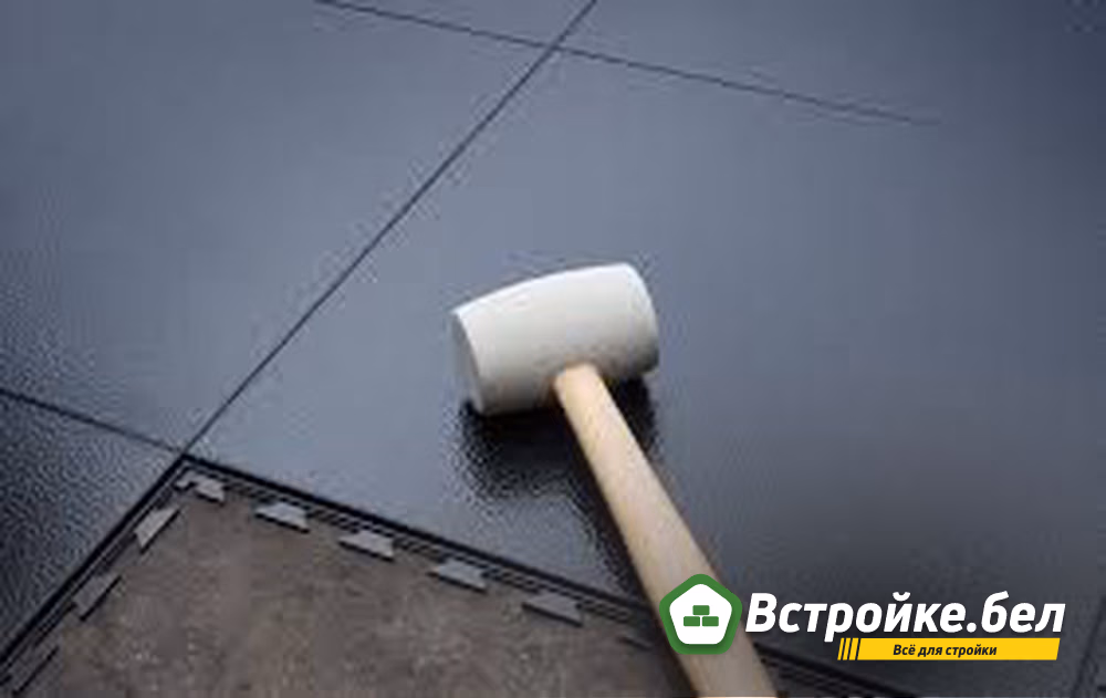Акклиматизация.jpg