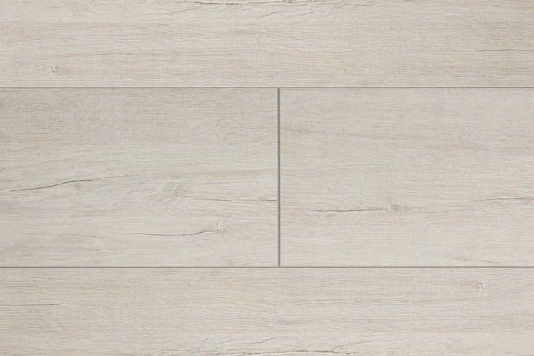 Идеал лук дуб.jpg?lang=ru