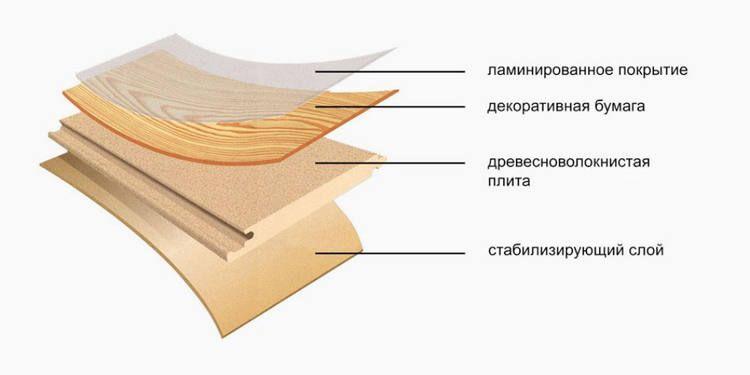 Особенности строения.jpg?lang=ru