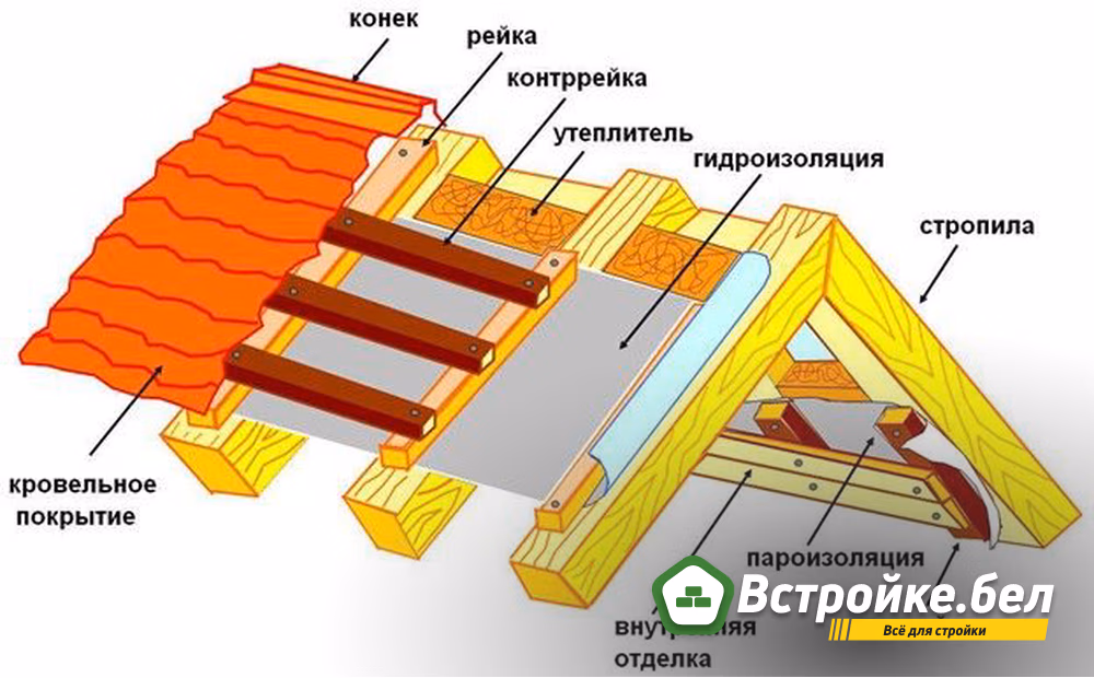 Picture19.jpg