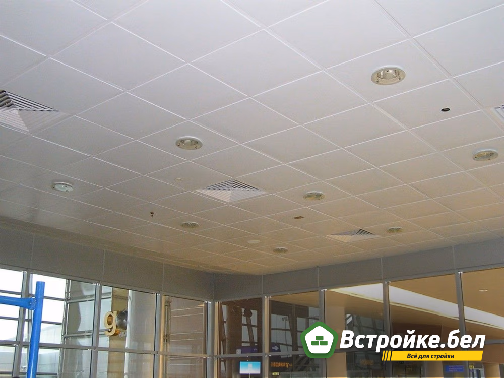 Picture24.jpg