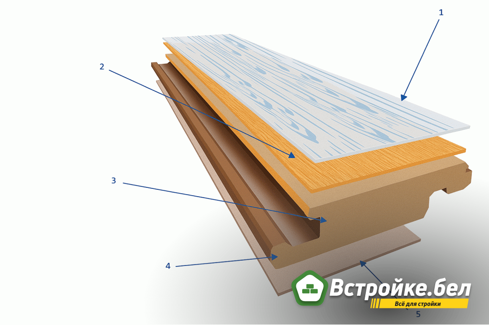 Слои ламината.jpg?lang=ru