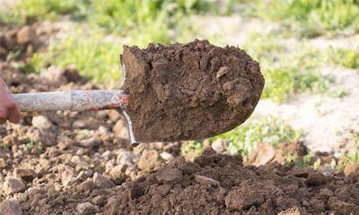 Земляные работы.jpg?lang=ru