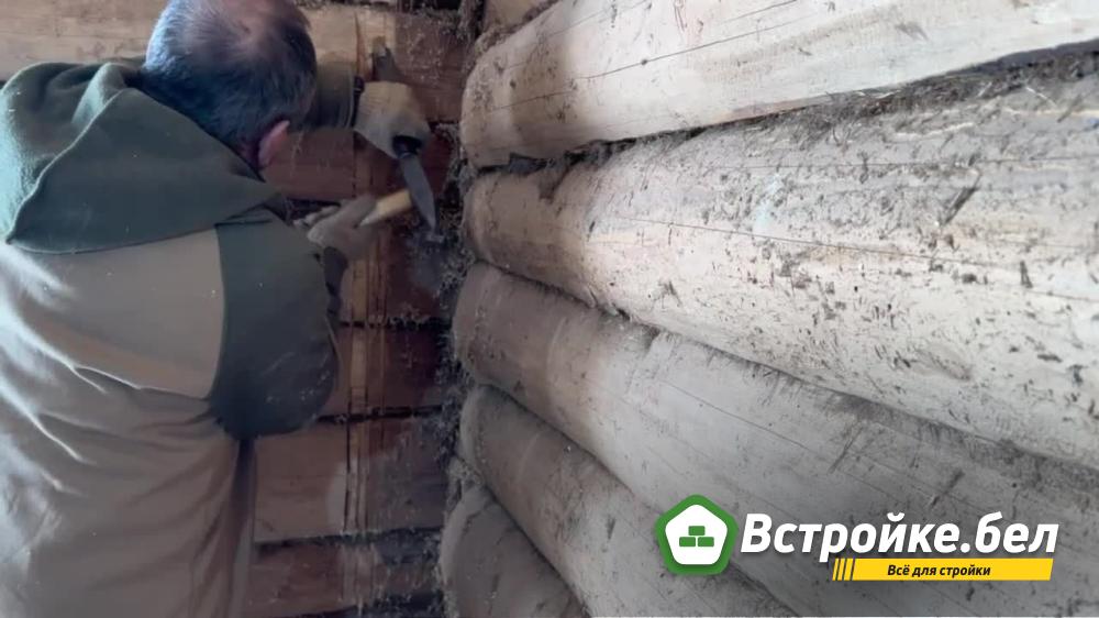 frame_180.jpg?lang=ru