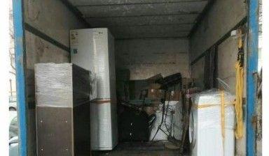 Газель