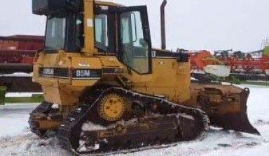 D5 MXL
