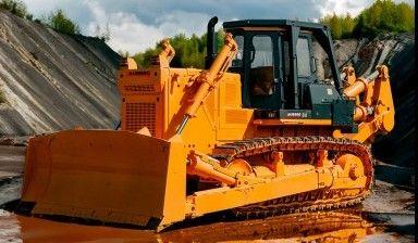 D6