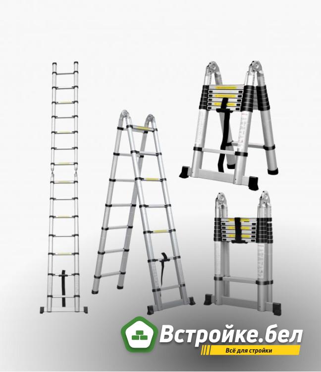 Двухсекционная лестница 218/440 см