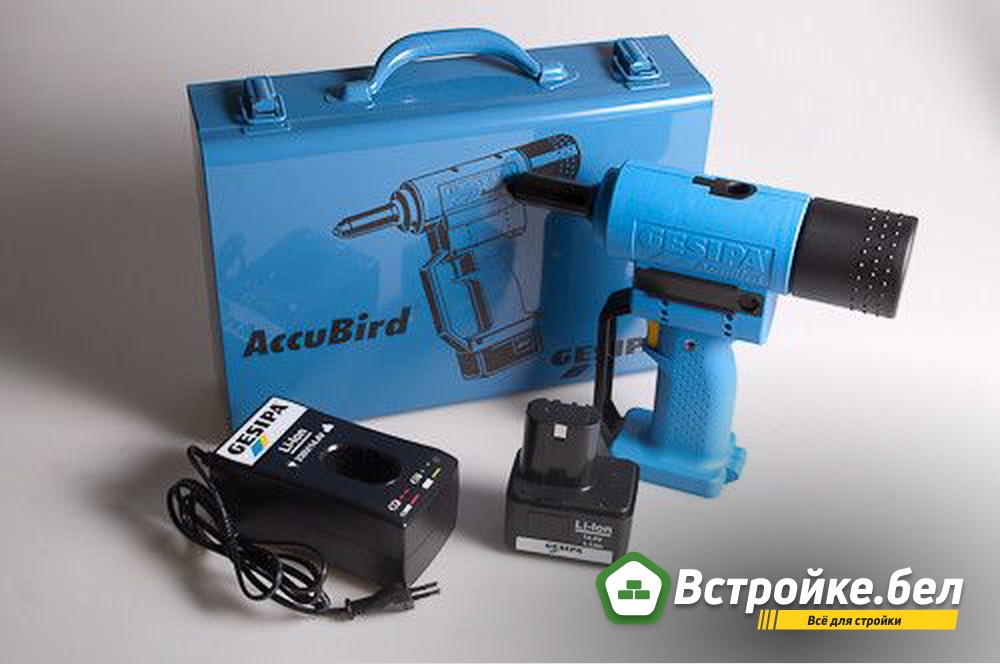 AccuBird