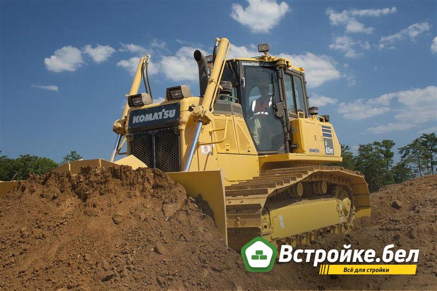 D61