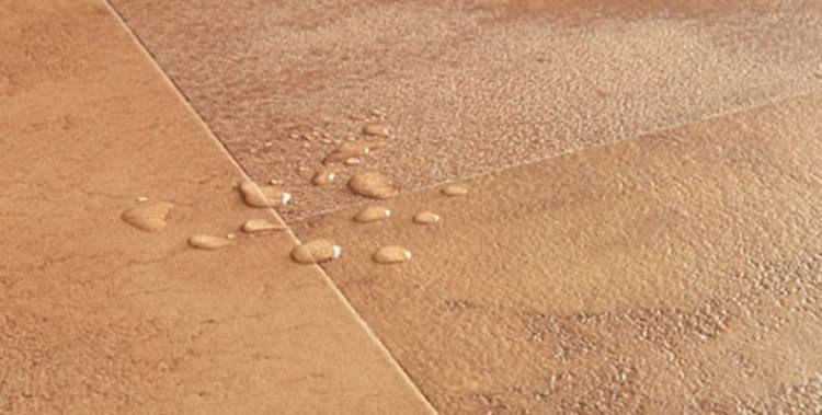 квик степ муза.jpg?lang=ru