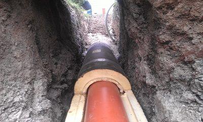 локальная.jpg?lang=ru